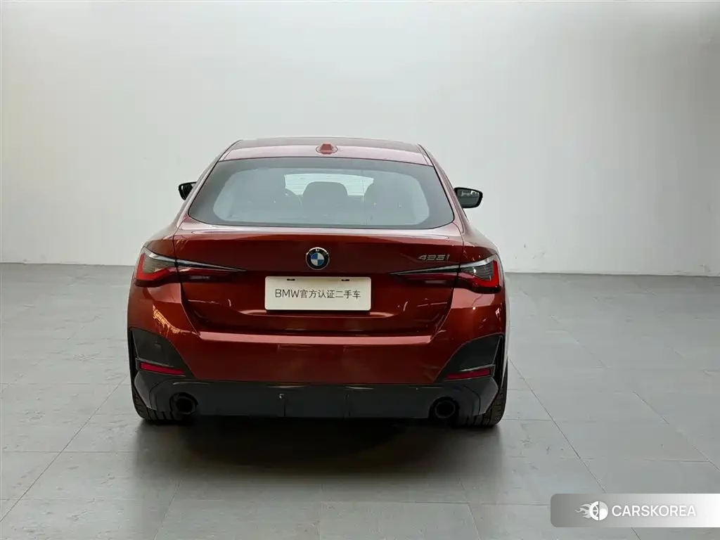 BMW 4 series 2024 Champagne/brown из Китая, фото 4
