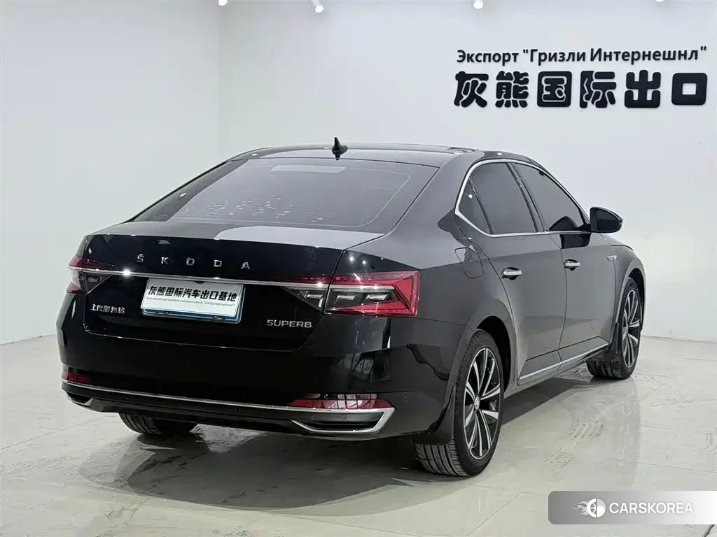 Skoda Speed pie 2023 Черный из Китая, фото 4