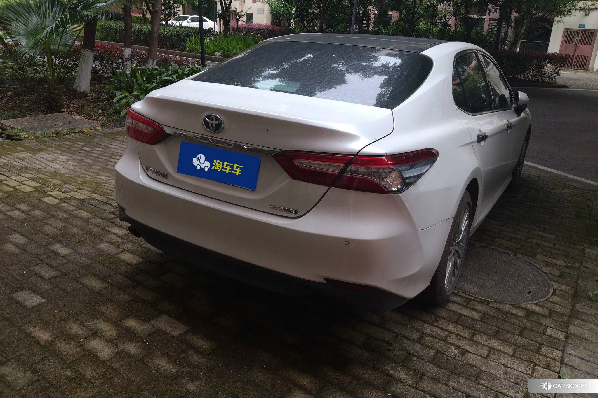 Toyota Camry 2021 Белый из Китая, фото 4