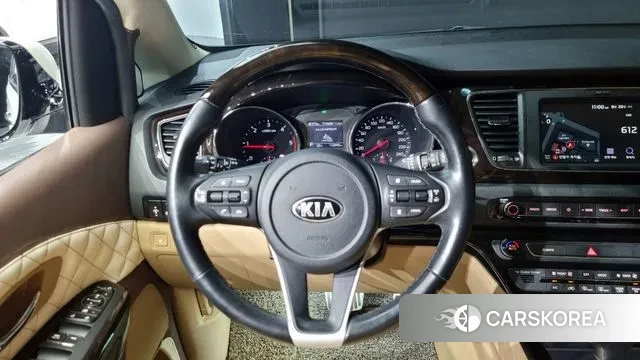 Kia The New Carnival 2019 Белый из Кореи, фото 4