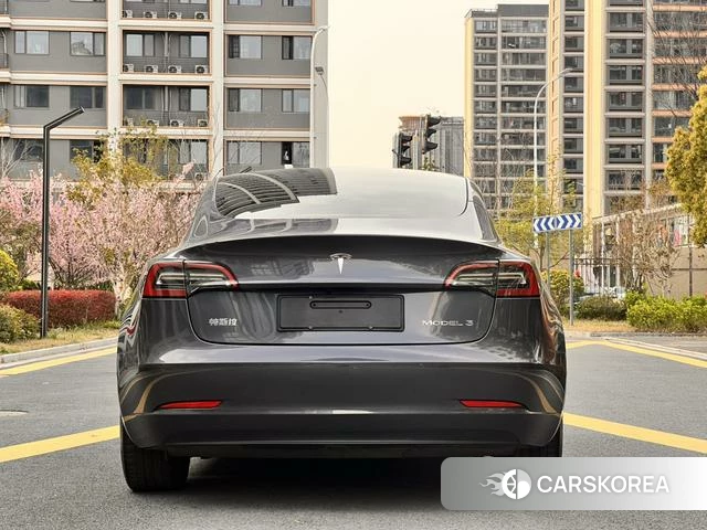 Tesla Model 3 2021 Темно-серый из Китая, фото 4