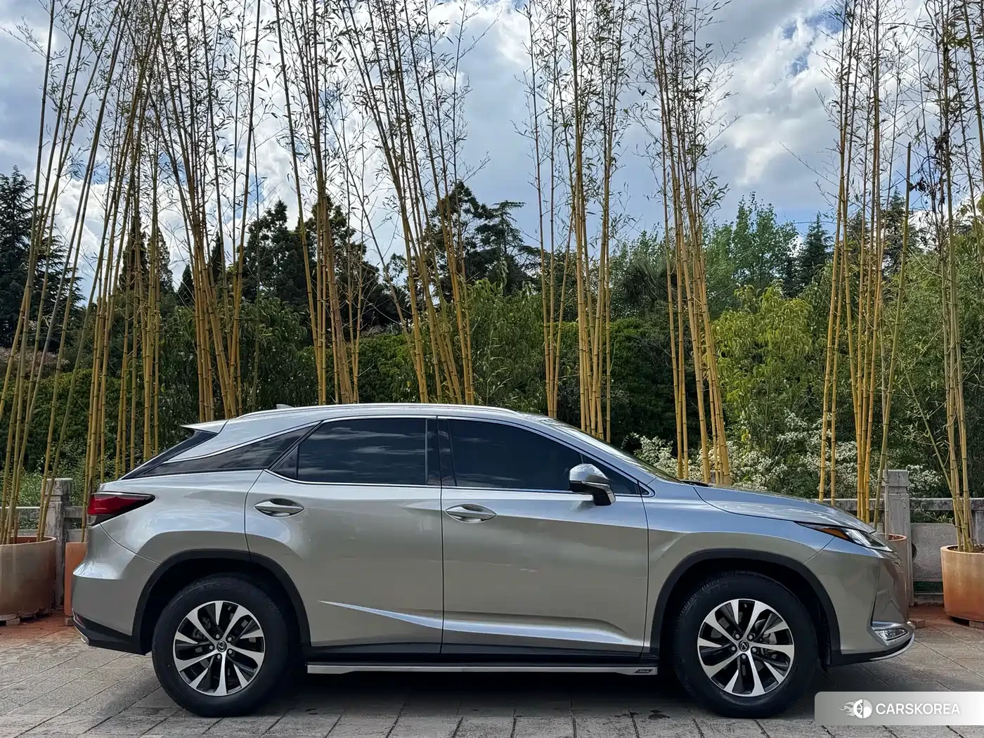 Lexus RX 2022 Silver/gray из Китая, фото 4