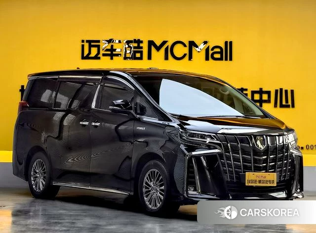 Toyota Elfa 2023 Черный из Китая, фото 4