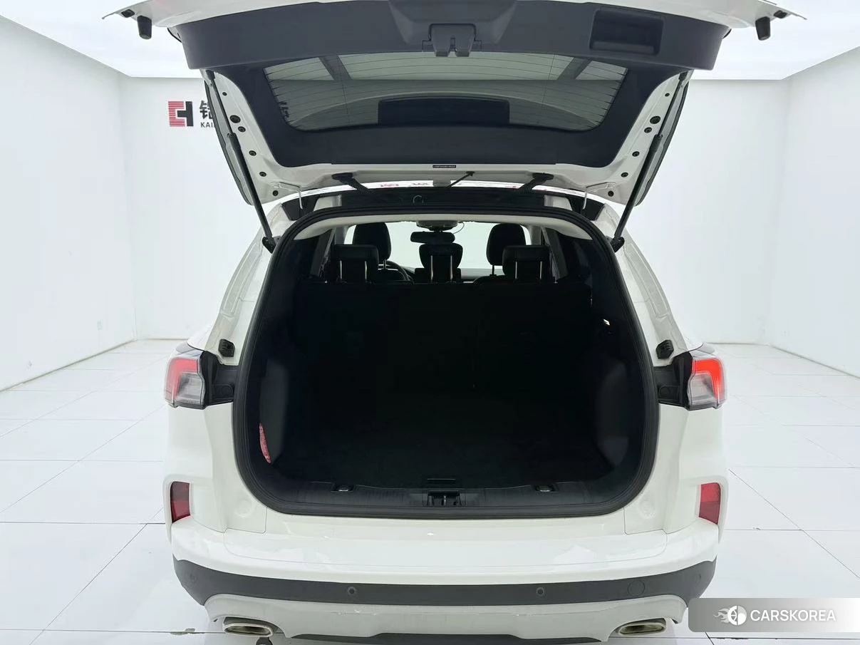 Ford Ruiji 2020 Белый из Китая, фото 4
