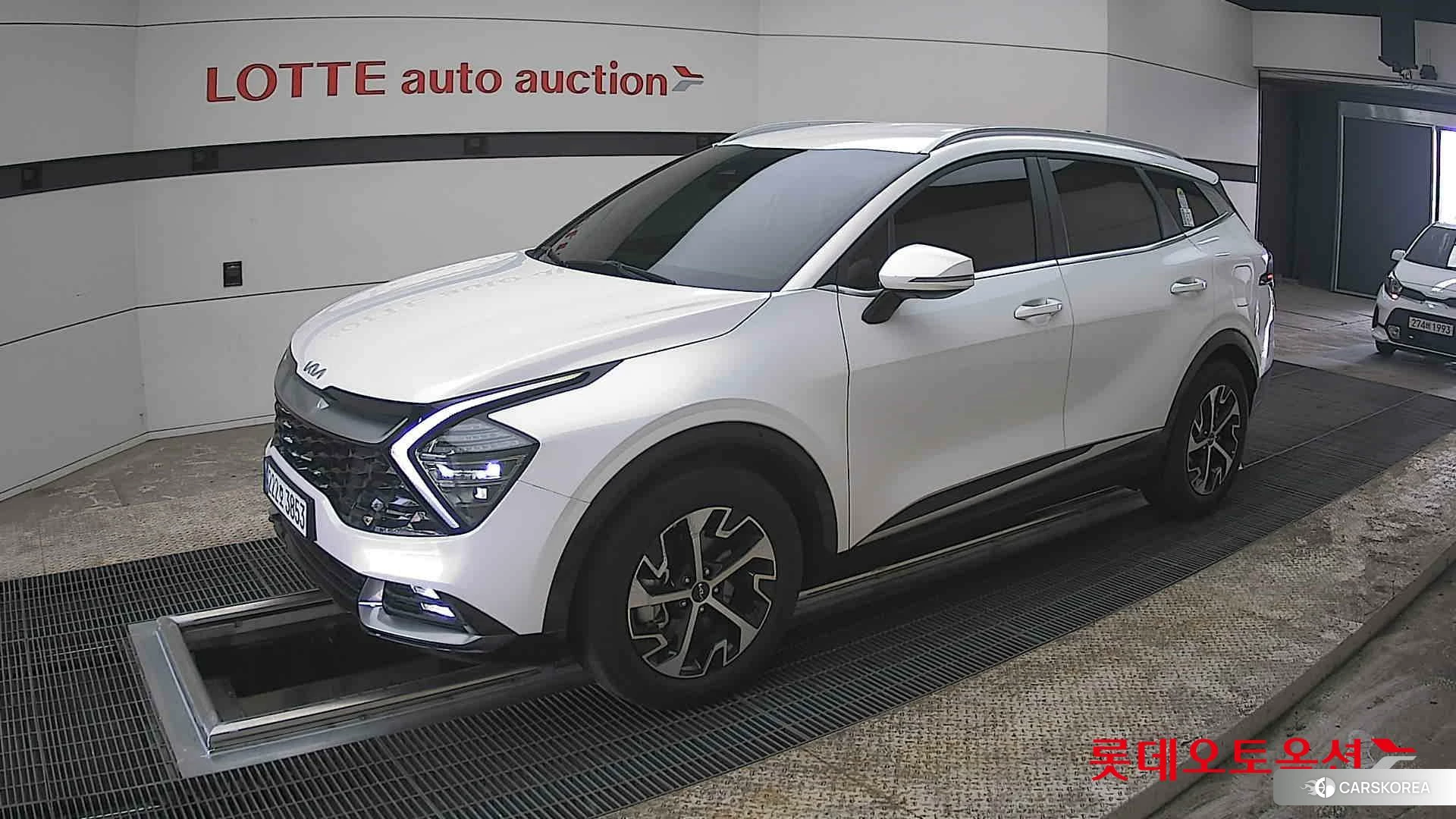 Kia Sportage Hybrid 2024 Snow White Pearl из Кореи, фото 4