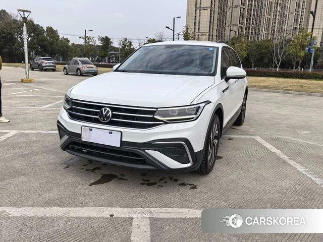 Volkswagen Tiguan L 2022 Белый из Китая, фото 4