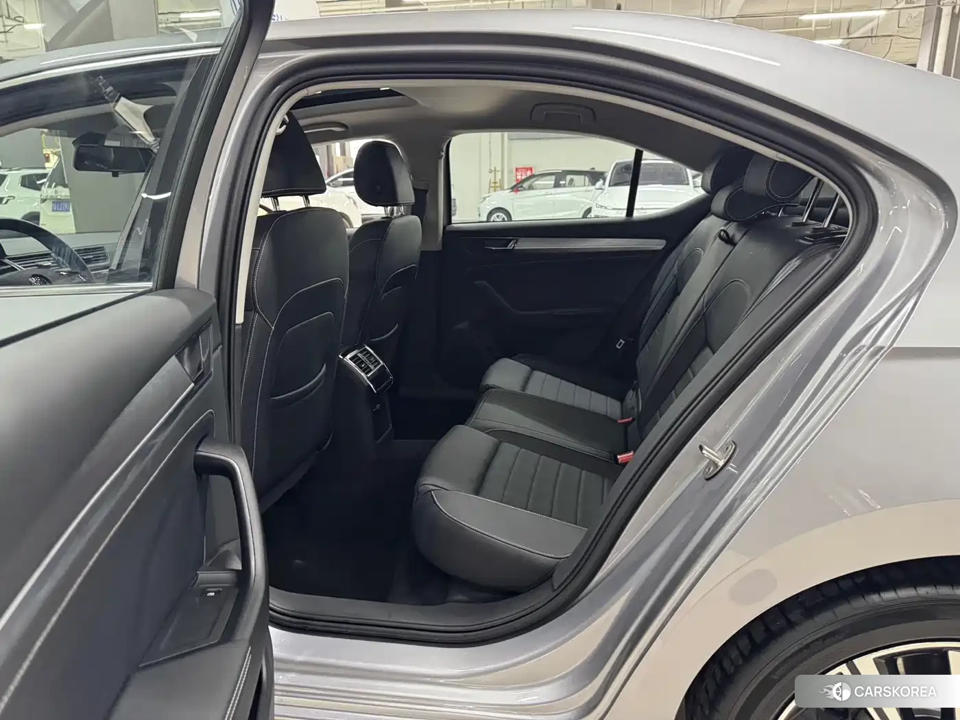 Skoda Speed pie 2025 Silver/gray из Китая, фото 4