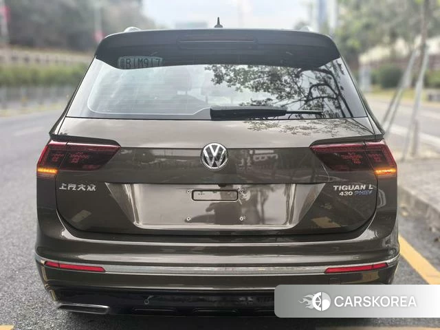 Volkswagen Tiguan L PHEV 2018 Коричневый из Китая, фото 4