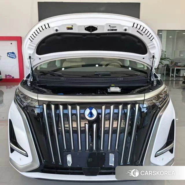 Denza D9 EV 2026 Белый из Китая, фото 4