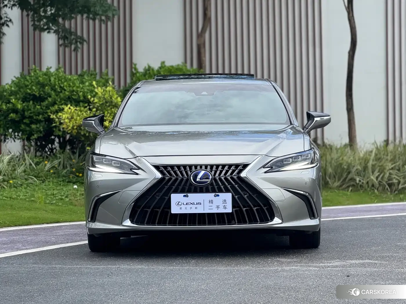 Lexus ES 2022 Silver/gray из Китая, фото 4