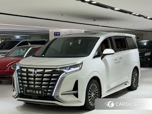 Denza D9 DM 2023 Белый из Китая, фото 4