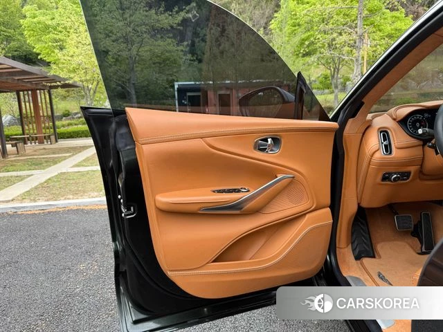 Aston Martin DBX 2021 Цвет тростника из Кореи, фото 4