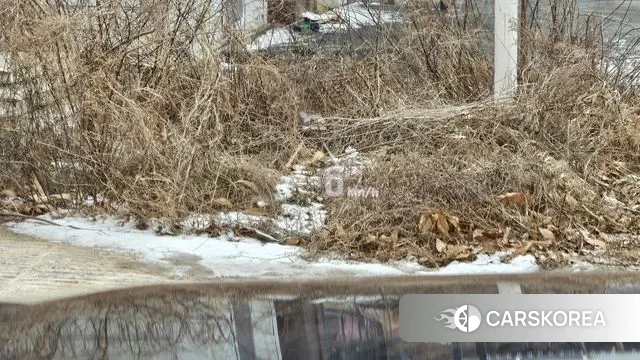 Hyundai Palisade 2020 Синий из Кореи, фото 4