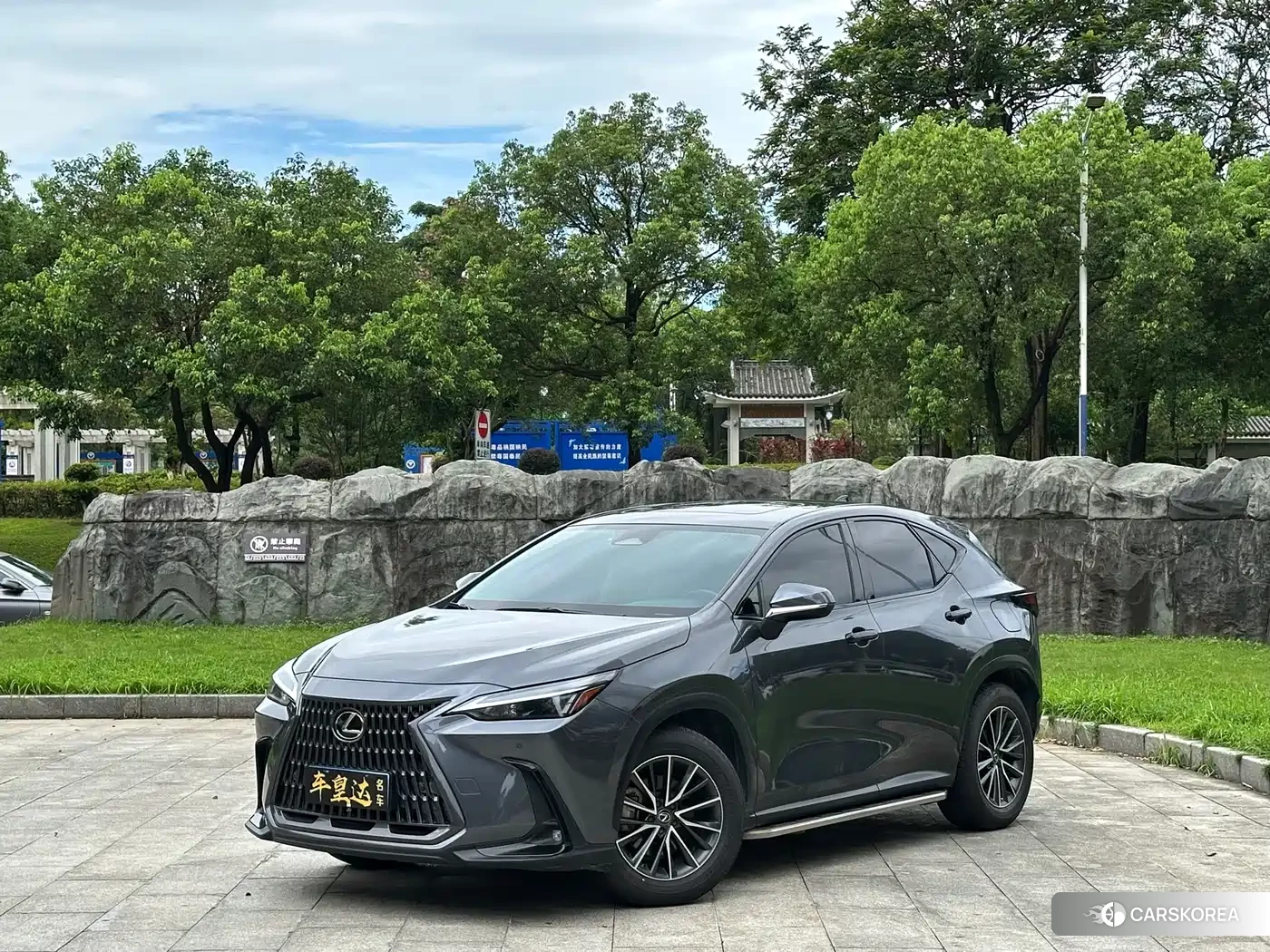 Lexus NX 2022 Silver/gray из Китая, фото 4