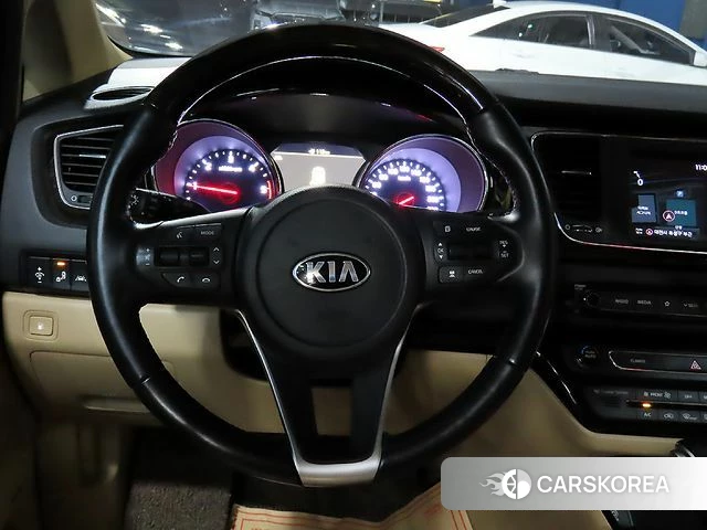 Kia The New Carnival 2019 Белый из Кореи, фото 4