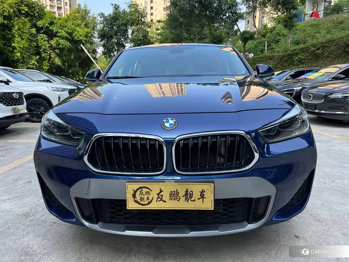 BMW X2 2020 Синий из Китая, фото 4