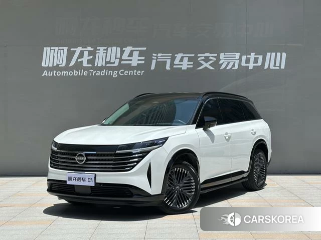 Nissan Exploring the land 2024 Белый из Китая, фото 4