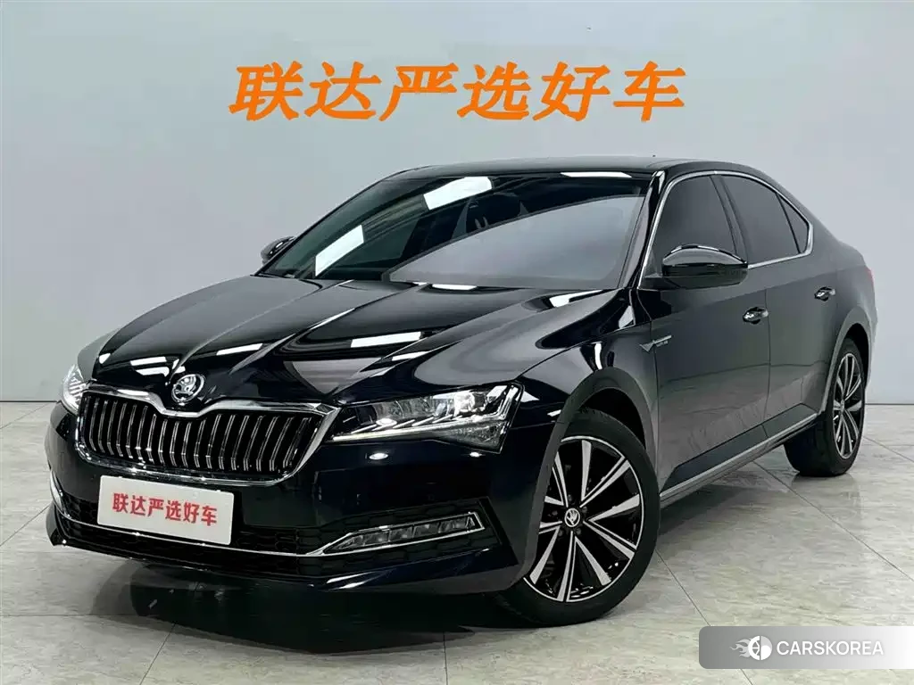 Skoda Speed pie 2024 Черный из Китая, фото 4