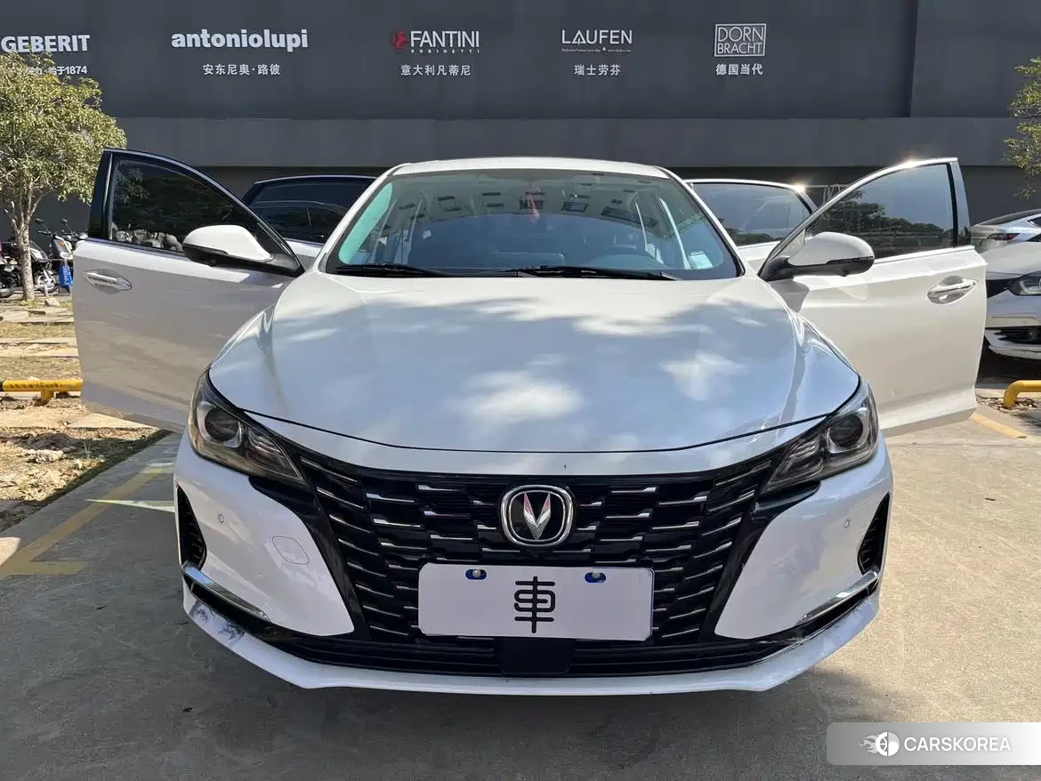 Chang'an Ruicheng CC 2021 Белый из Китая, фото 4