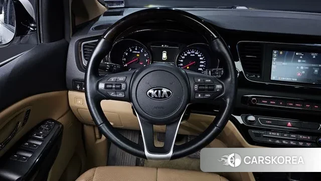 Kia The New Carnival 2019 Белый из Кореи, фото 4