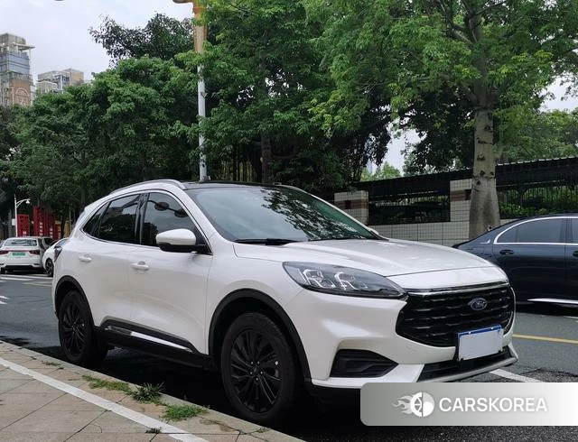 Ford Ruiji 2023 Белый из Китая, фото 4