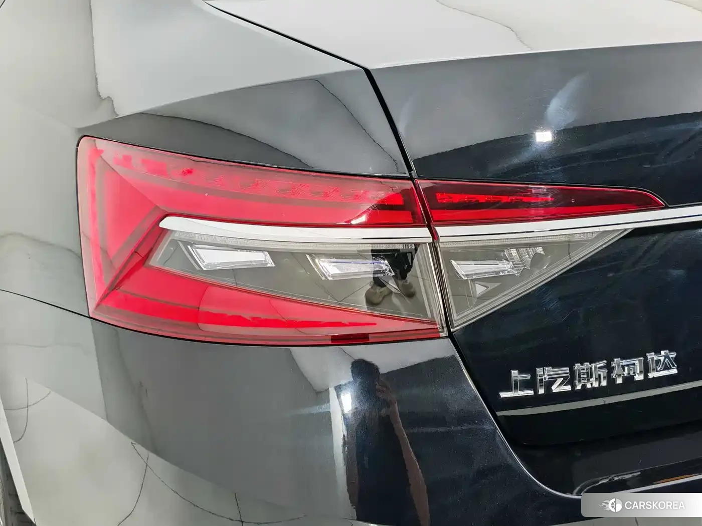 Skoda Speed pie 2024 Черный из Китая, фото 4