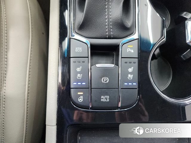 Kia The New Carnival 2018 Белый из Кореи, фото 4