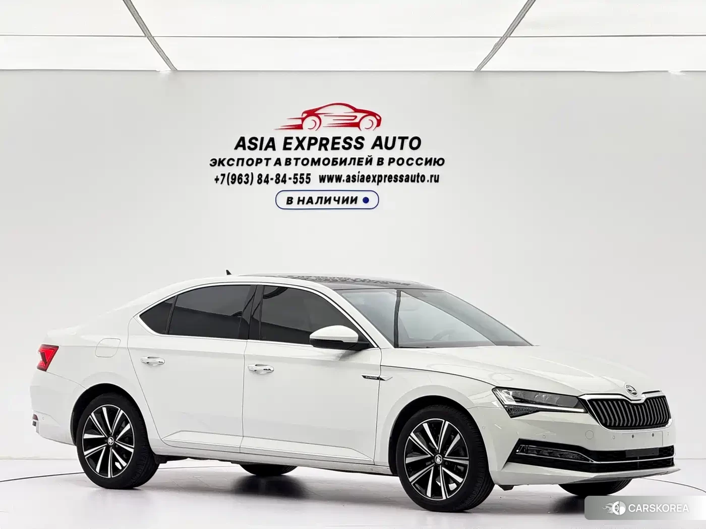 Skoda Speed pie 2023 Белый из Китая, фото 4