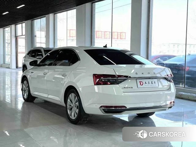 Skoda Speed pie 2021 Белый из Китая, фото 4
