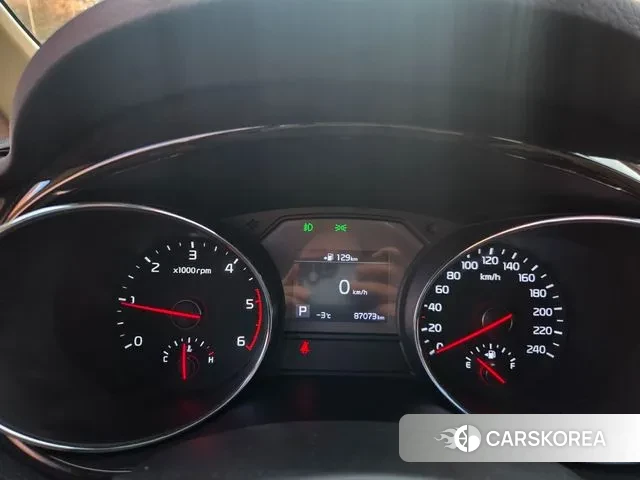 Kia The New Carnival 2019 Белый из Кореи, фото 4