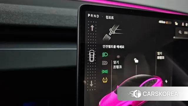 Tesla Model 3 2024 Розовый из Кореи, фото 4