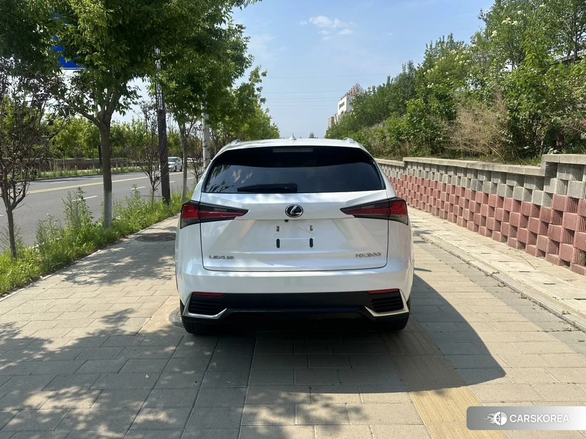 Lexus NX 2019 Белый из Китая, фото 4