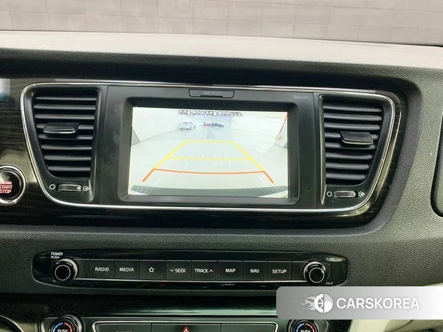 Kia The New Carnival 2019 Жемчужный цвет из Кореи, фото 4