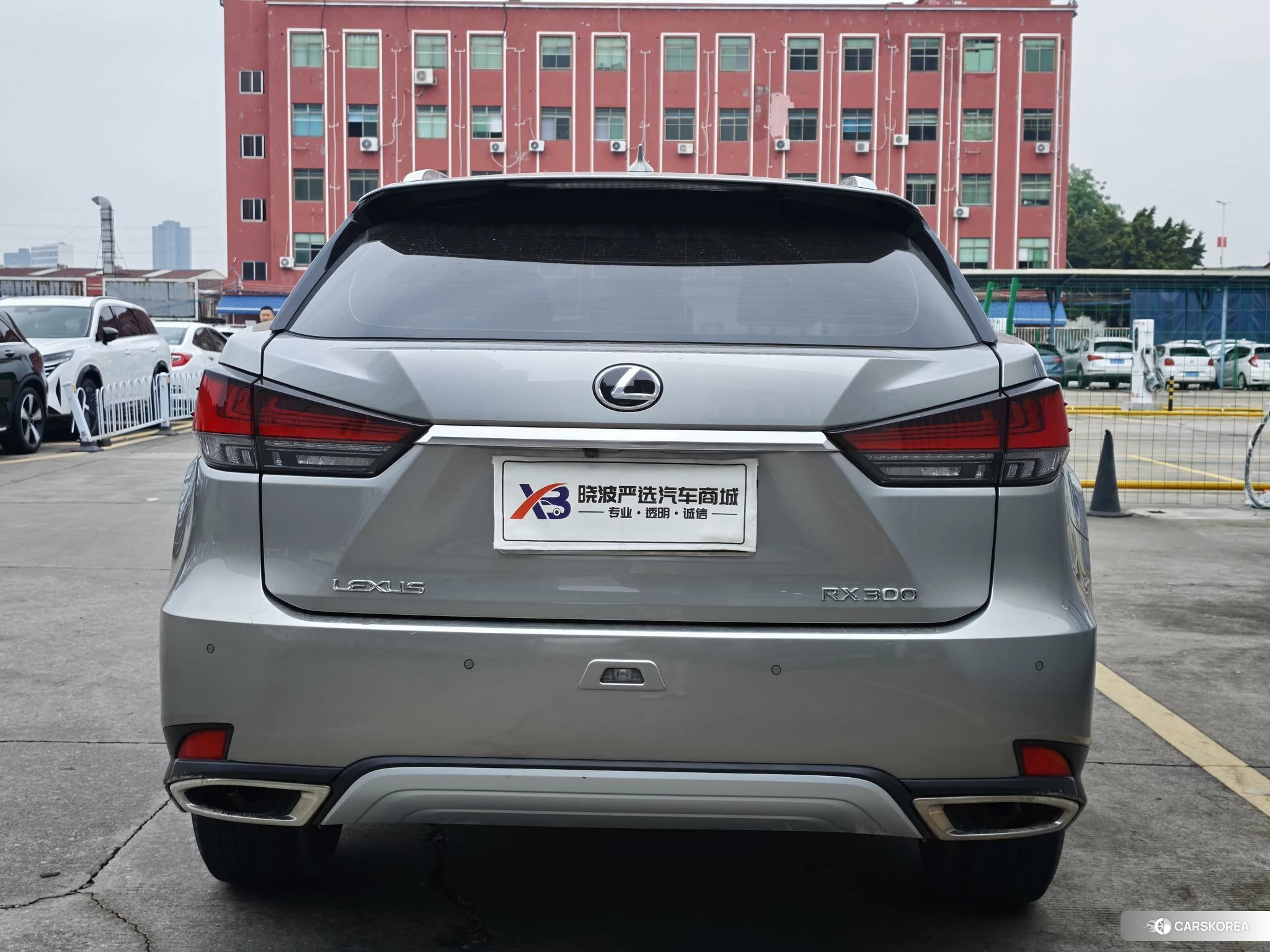 Lexus RX 2020 Серебристо-серый из Китая, фото 4