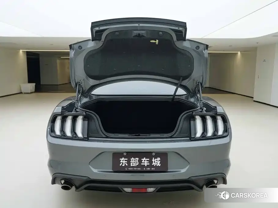 Ford Mustang 2021 Silver/gray из Китая, фото 4