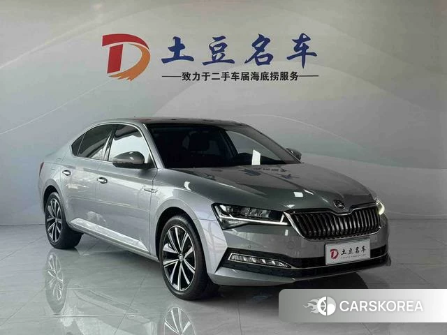 Skoda Speed pie 2023 Серебристо-серый из Китая, фото 4