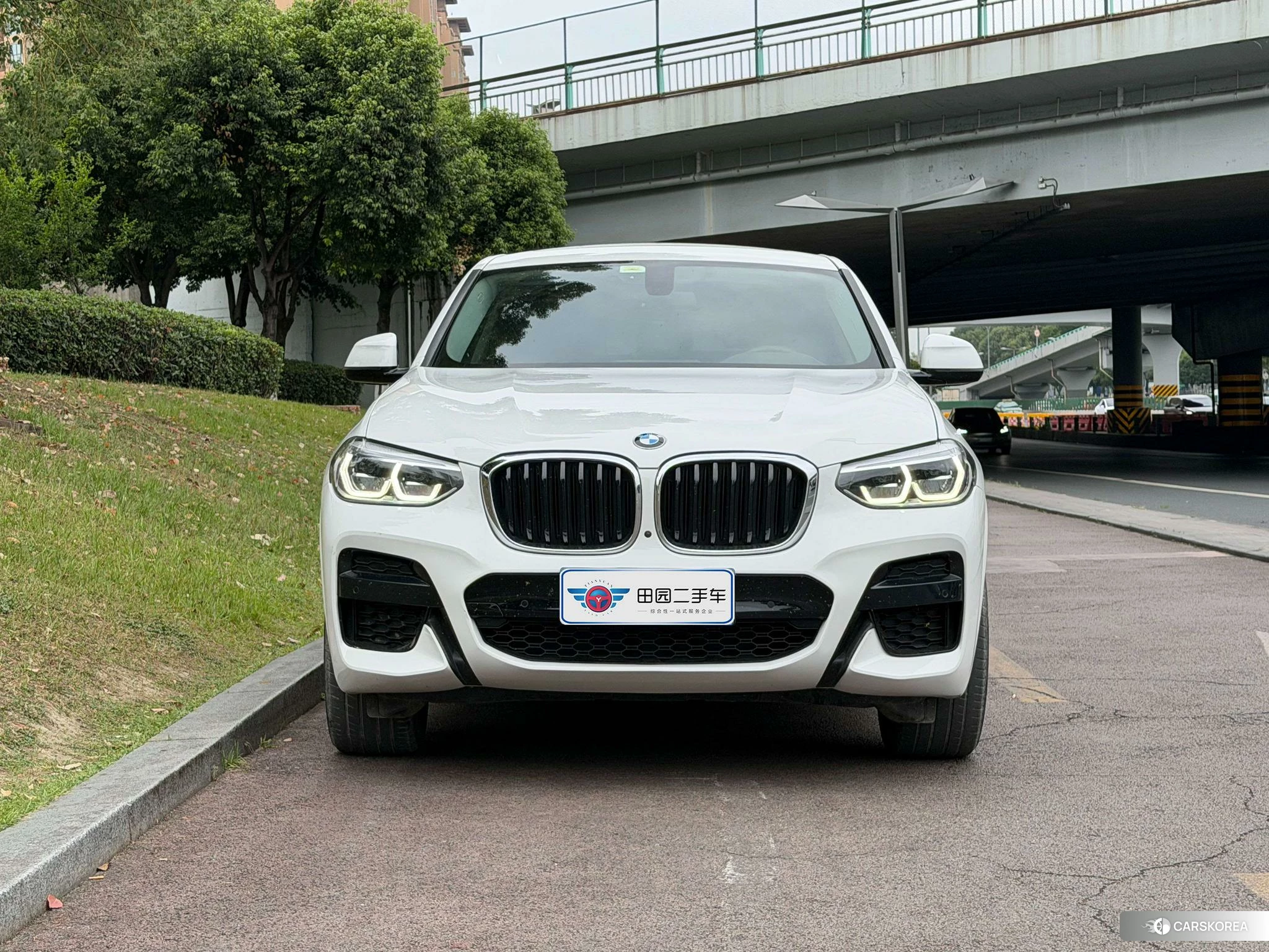 BMW X4 2020 Белый из Китая, фото 4