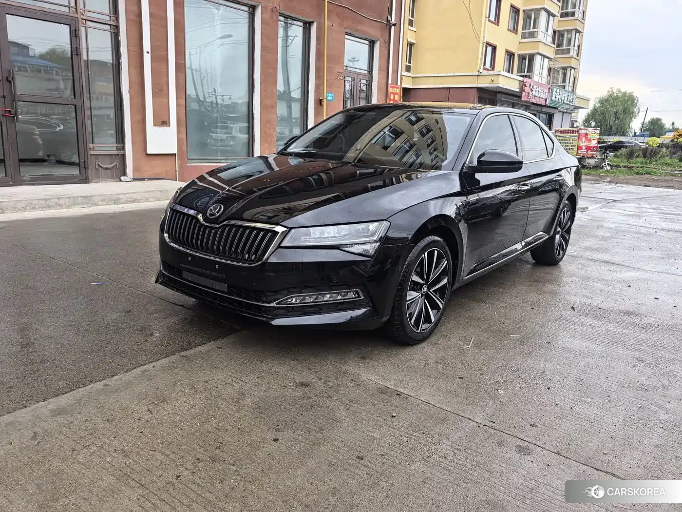 Skoda Speed pie 2023 Черный из Китая, фото 4