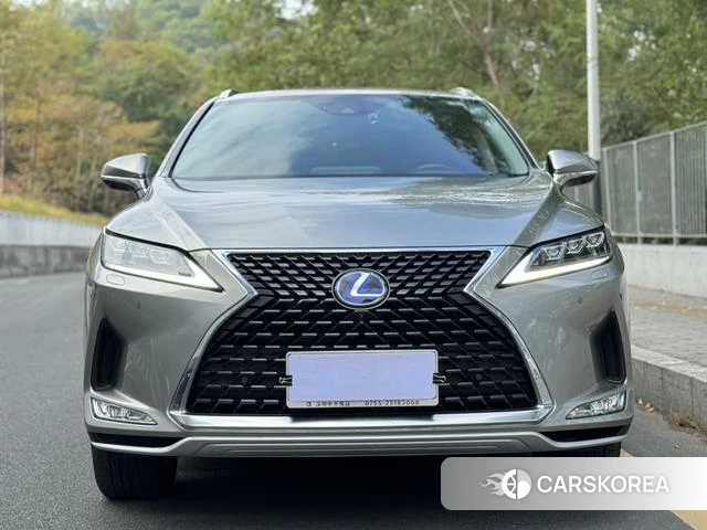 Lexus RX 2021 Шампань из Китая, фото 4