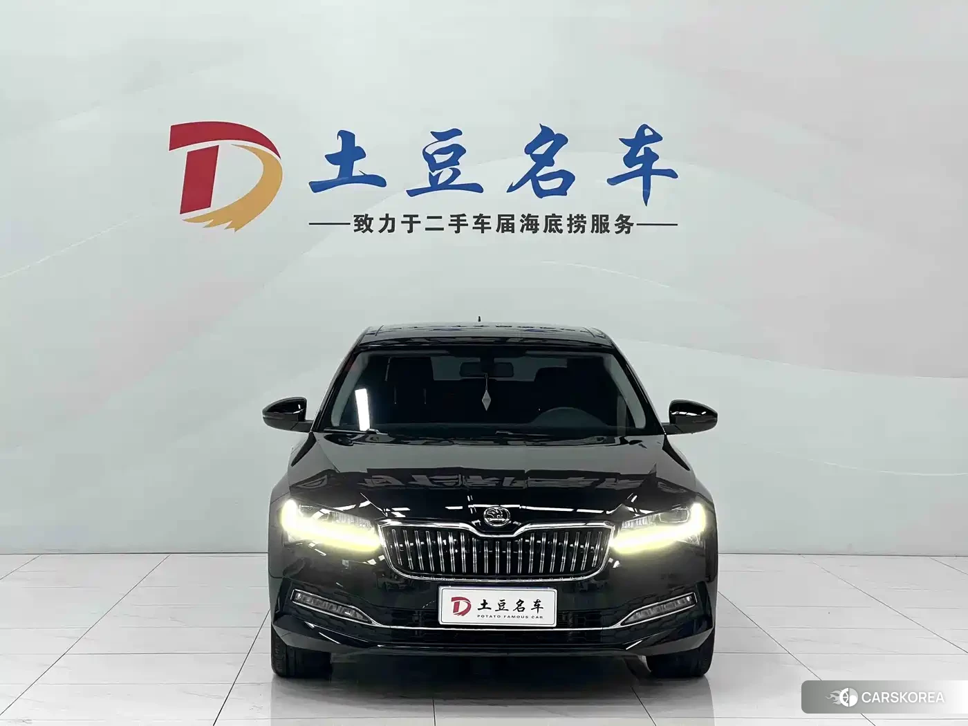 Skoda Speed pie 2024 Черный из Китая, фото 4
