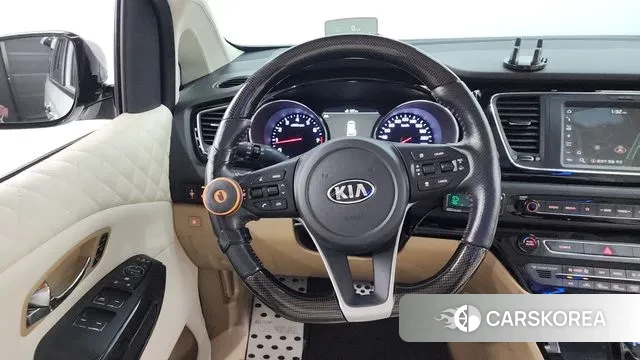 Kia The New Carnival 2019 Белый из Кореи, фото 4