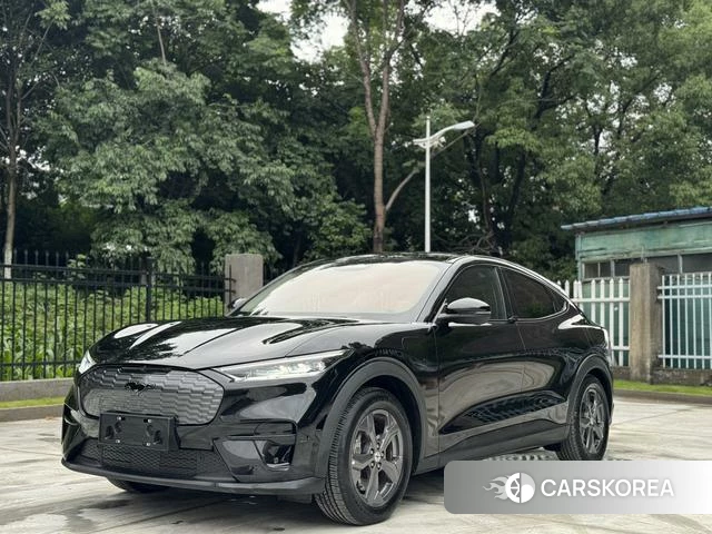 Ford Electric horse 2022 Черный из Китая, фото 4