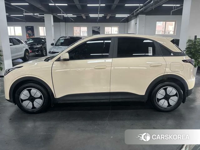 Geely Galaxy Star Wish 2025 Шампань из Китая, фото 4