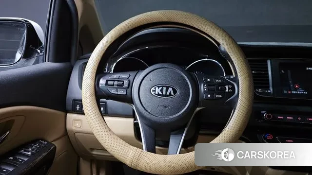 Kia The New Carnival 2018 Белый из Кореи, фото 4