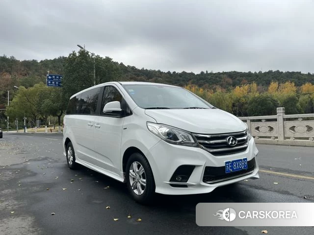 Chase G10 2018 Белый из Китая, фото 4