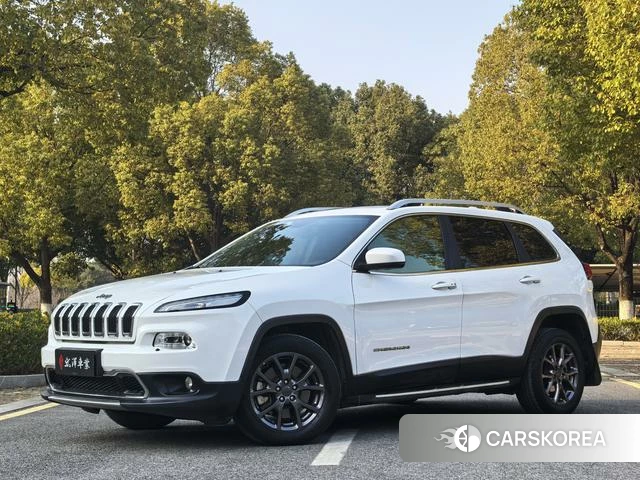 Jeep Free light 2021 Белый из Китая, фото 4