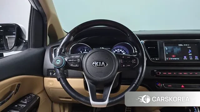 Kia The New Carnival 2019 Белый из Кореи, фото 4