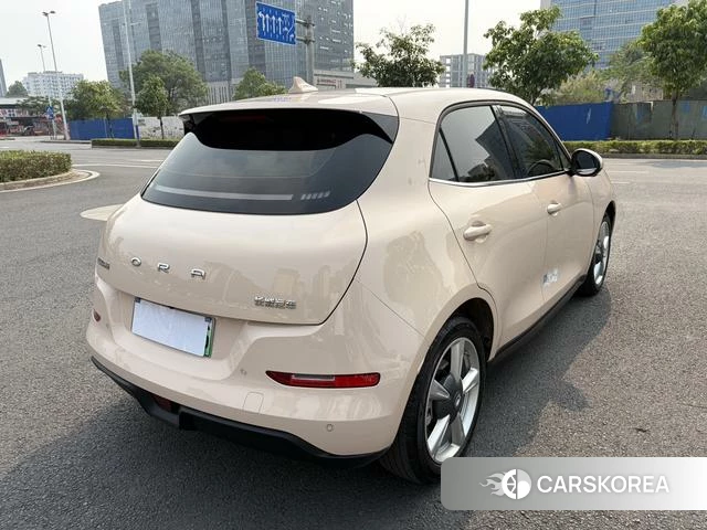 Euler Good cat 2023 Другой из Китая, фото 4