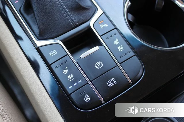 Kia The New Carnival 2020 Белый из Кореи, фото 4