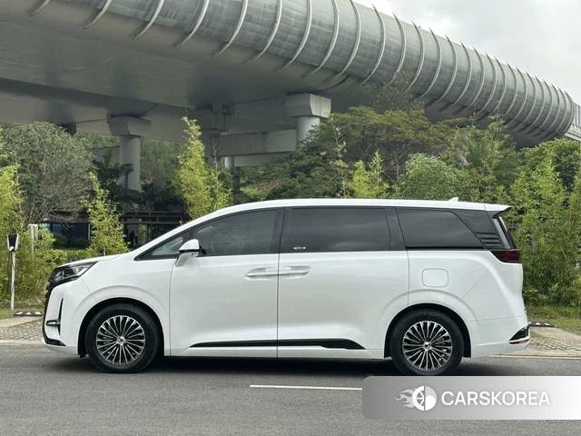 Denza D9 DM 2023 Белый из Китая, фото 4